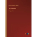 The Lost Prince: in large print
