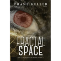 Fractal Space