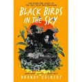 Black Birds in the Sky: The Story and Legacy of the 1921 Tulsa Race Massacre /]Cbrandy Colbert