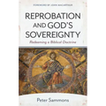 Reprobation and God's Sovereignty: Redeeming a Biblical Doctrine