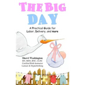 The Big Day: A Practical Guide for Labor, Delivery, and more