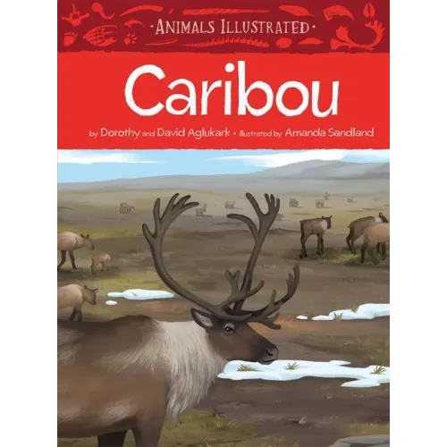 Animals Illustrated: Caribou