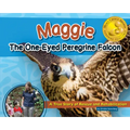 Maggie the One-Eyed Peregrine Falcon: A True Story of Rescue and Rehabilitation