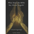 What Does the Bible Say About Angels?: A Styled Angelology