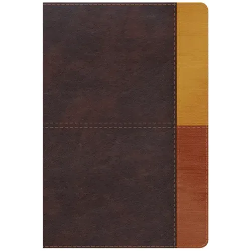 Rvr 1960 Biblia de Estudio Arcoiris, Cocoa/ Terracota Símil Piel Con Índice