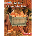 At the Pumpkin Patch