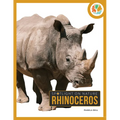 Rhinoceros