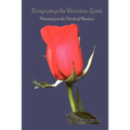 Integrating the Feminine Spirit: Returning to the Womb of Creation