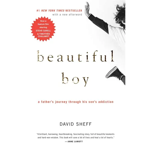 Beautiful Boy: A Father's Journey Through His Son's Addiction
