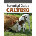 Essential Guide to Calving: Giving Your Beef or Dairy Herd a Healthy Start