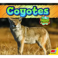 Coyotes