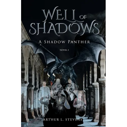 Well of Shadows: A Shadow Panther Novel 3