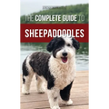 The Complete Guide to Sheepadoodles: Finding, Raising, Training, Feeding, Socializing, and Loving Your New Sheepadoodle Puppy