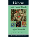 Lichens of the North Woods