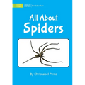 All About Spiders