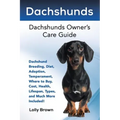 Dachshunds: Dachshund Breeding, Diet, Adoption, Temperament, Where to Buy, Cost, Health, Lifespan, Types, and Much More Included!