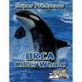 Orca Killer Whale: (Age 5 - 8)