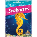 Seahorses