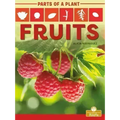 Fruits