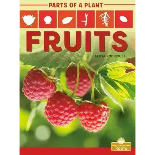 Fruits