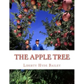 The Apple Tree: A Guide To Growing Apples At Home