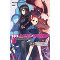 Accel World, Vol. 19 (Light Novel): Pull of the Dark Nebula