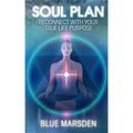 Soul Plan: Reconnect with Your True Life Purpose