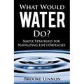 What Would Water Do?: Simple Strategies for Navigating Life's Obstacles