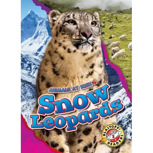 Snow Leopards