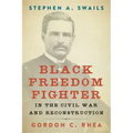 Stephen A. Swails: Black Freedom Fighter in the Civil War and Reconstruction