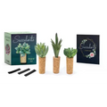 Succulents Magnet Set