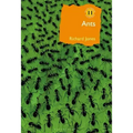 Ants: The Ultimate Social Insects