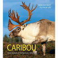 Caribou: Wind Walkers of the Northern Wilderness