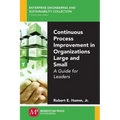 Continuous Process Improvement in Organizations Large and Small: A Guide for Leaders