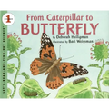 From Caterpillar to Butterfly