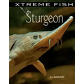 Sturgeon