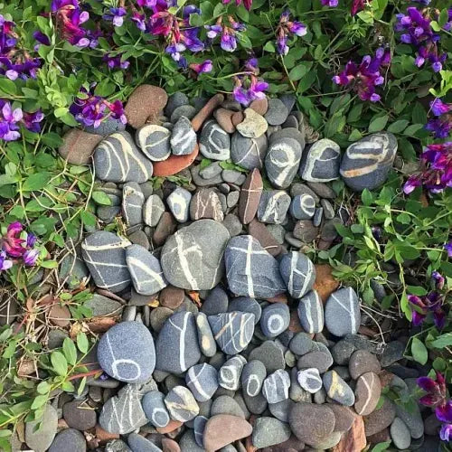 Messages from the Earth