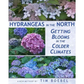 Hydrangeas in the North: Getting Blooms in the Colder Climates