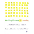 Working Memory and Learning: A Practical Guide for Teachers