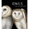 Owls: The Paintings of Jeannine Chappell