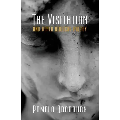 The Visitation and Other Biblical Poetry