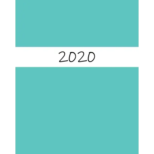 Guía de Balance para el 2020