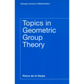 Topics in Geometric Group Theory