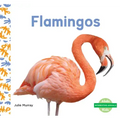 Flamingos