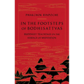 In the Footsteps of Bodhisattvas: Buddhist Teachings on the Essence of Meditation