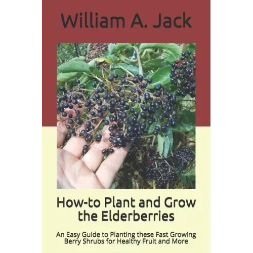 How-to Plant and Grow the Elderberries: An Easy Guide to Planting these Fast Growing Berry Shrubs for Healthy Fruit and More