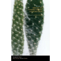 Poems of Hiromi Ito, Toshiko Hirata & Takako Arai