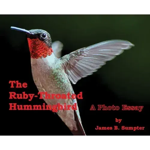 The Ruby-throated Hummingbird: A photo essay
