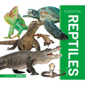 Essential Reptiles