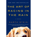 The Art of Racing in the Rain